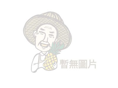 暫無圖片